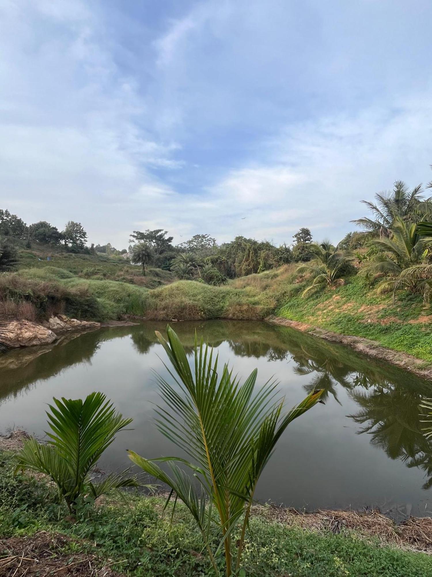 Gandhadagudi Nature Retreat Bangalore Esterno foto